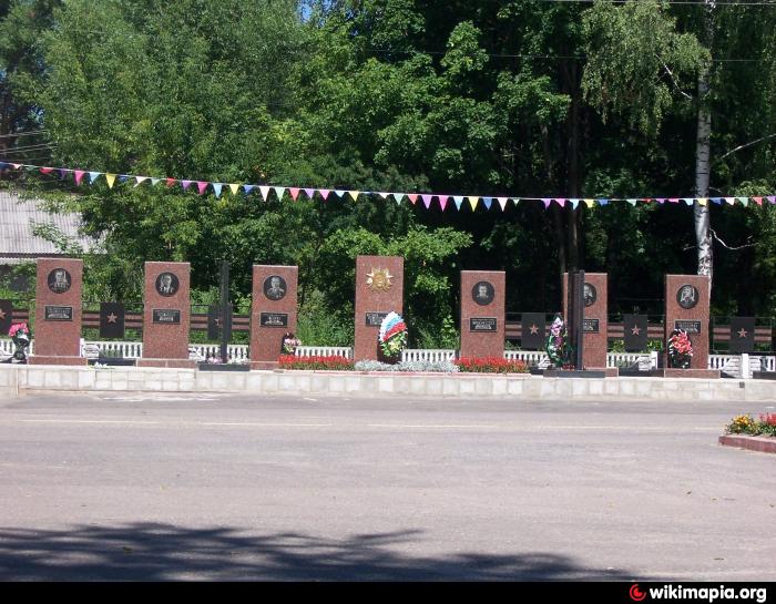 Город петушки картинки