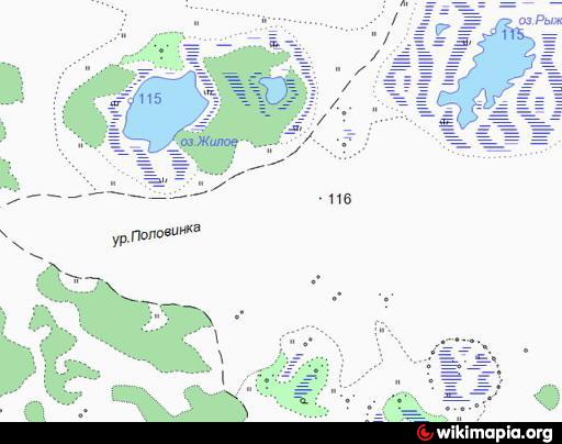 Карта тюкалинск спутник