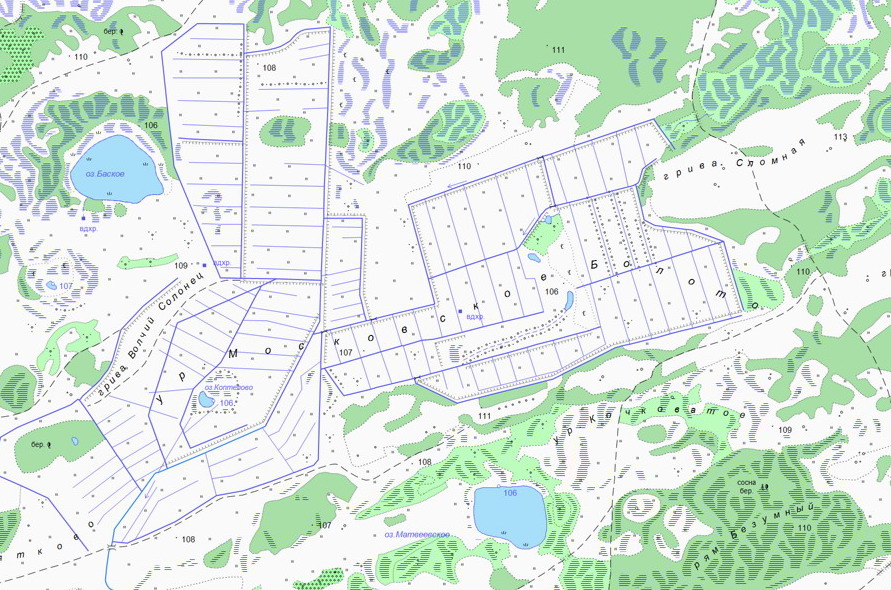 Урочище московское. Урочища Свердловской области на карте. Московское урочище болото на карте. Урочище Шаня. Урочище Шаня Свердловская область.