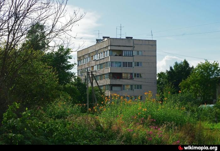 Лесколово. Лесколово ул зеленая. Лесколово зеленая 26. Лесколово 1987. Зеленая 58 Лесколово Михаил.