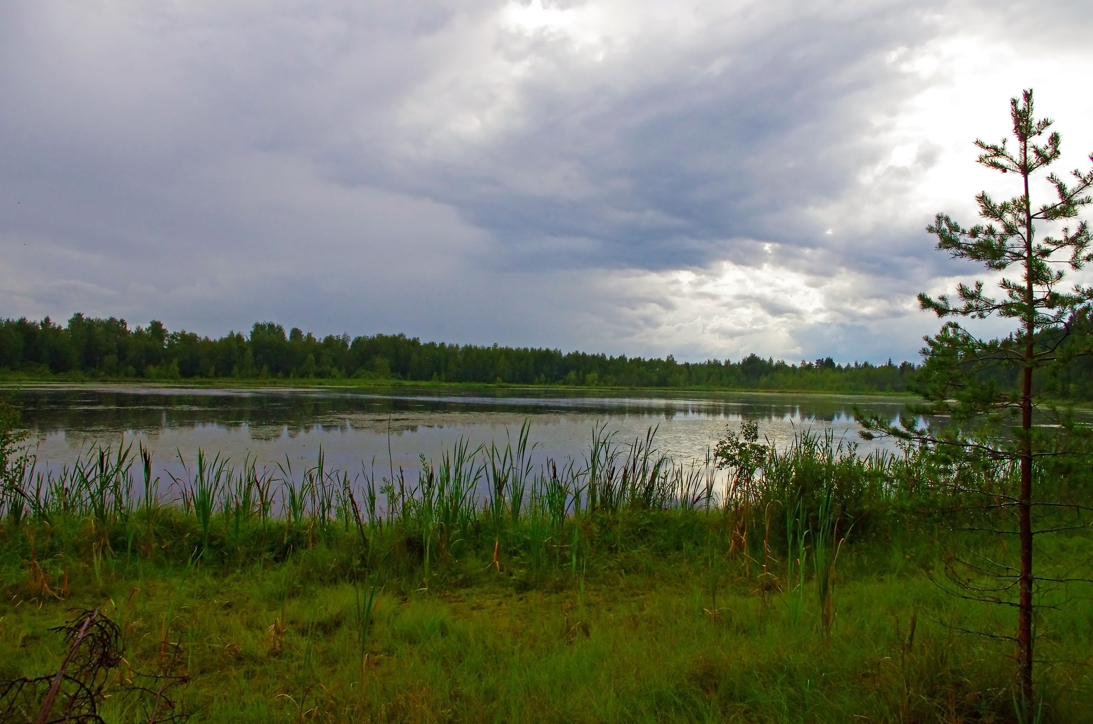 Озеро Малое Щучье Сосново