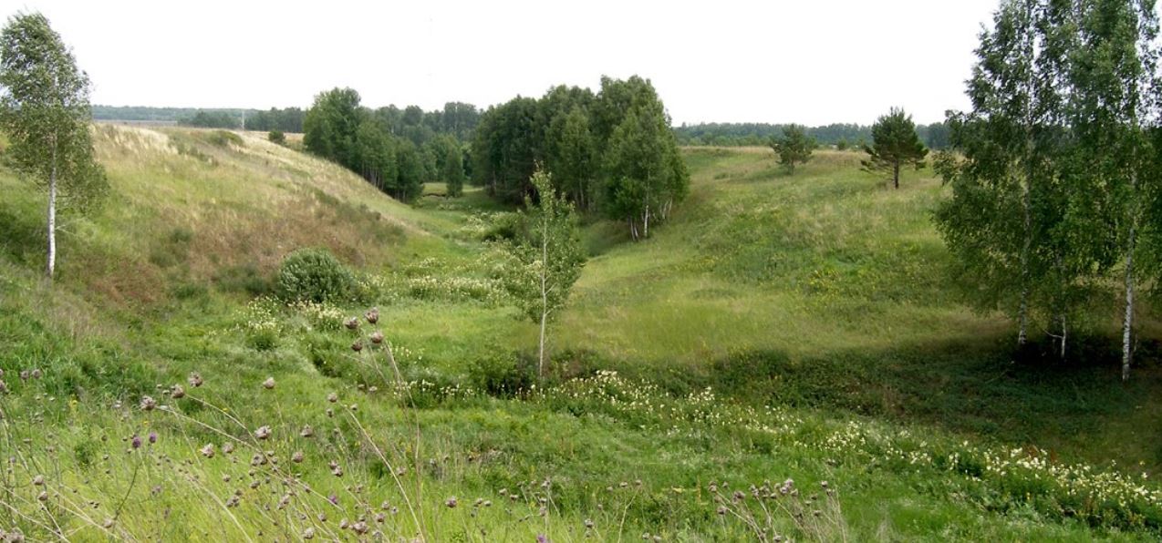 Долгой овраг. Деревня долгий мост Красноярский край. Овраг долгий. Долгий мост (Новгородская область).