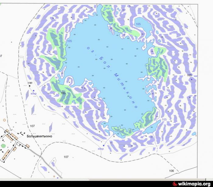 Озеро большое на карте. Озеро большое Митькино. Озеро большое Митькино Омская область. Озеро Митькино болонь. Митькино озеро Нижнеомский район.