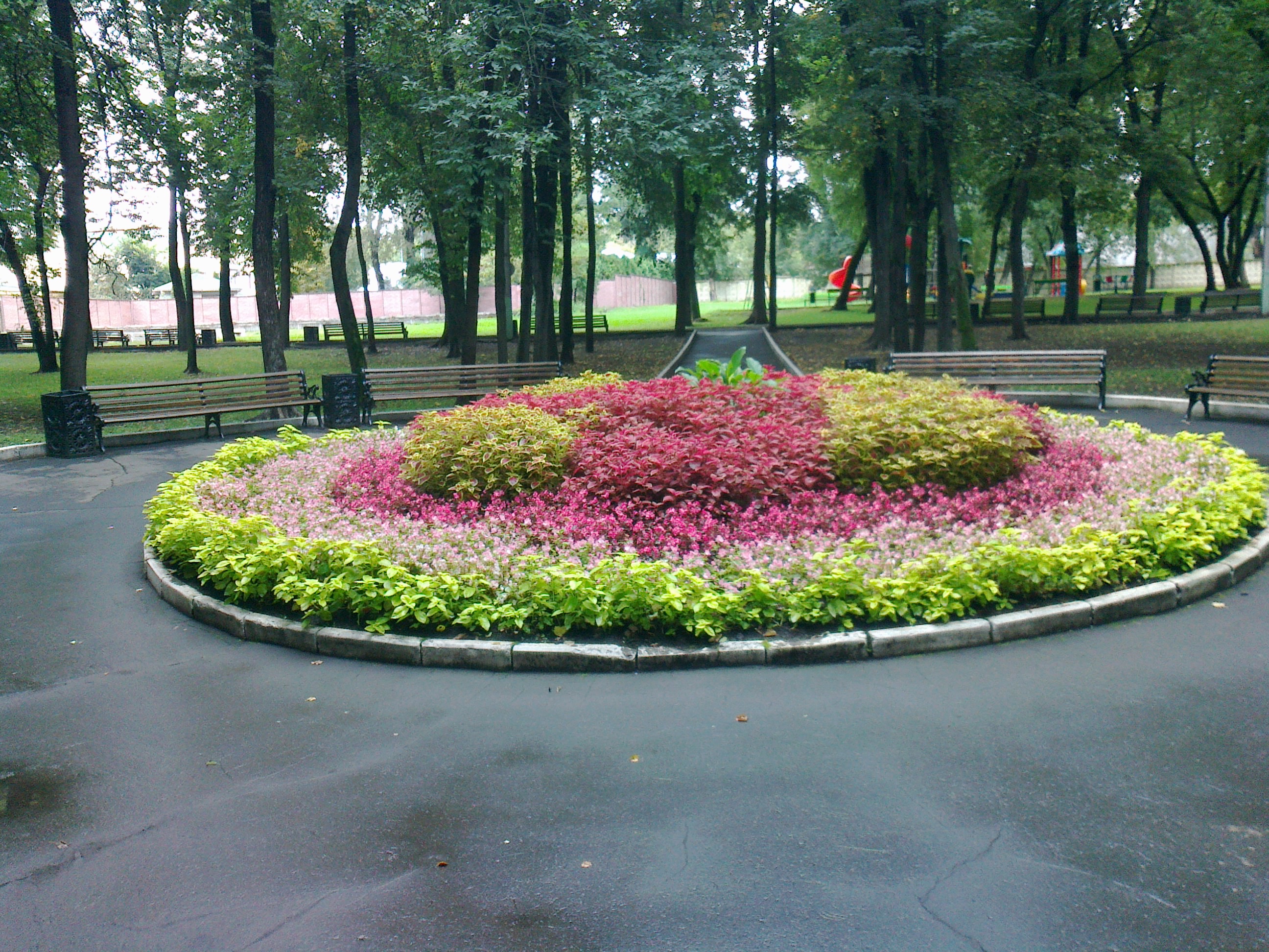 цветники в парках