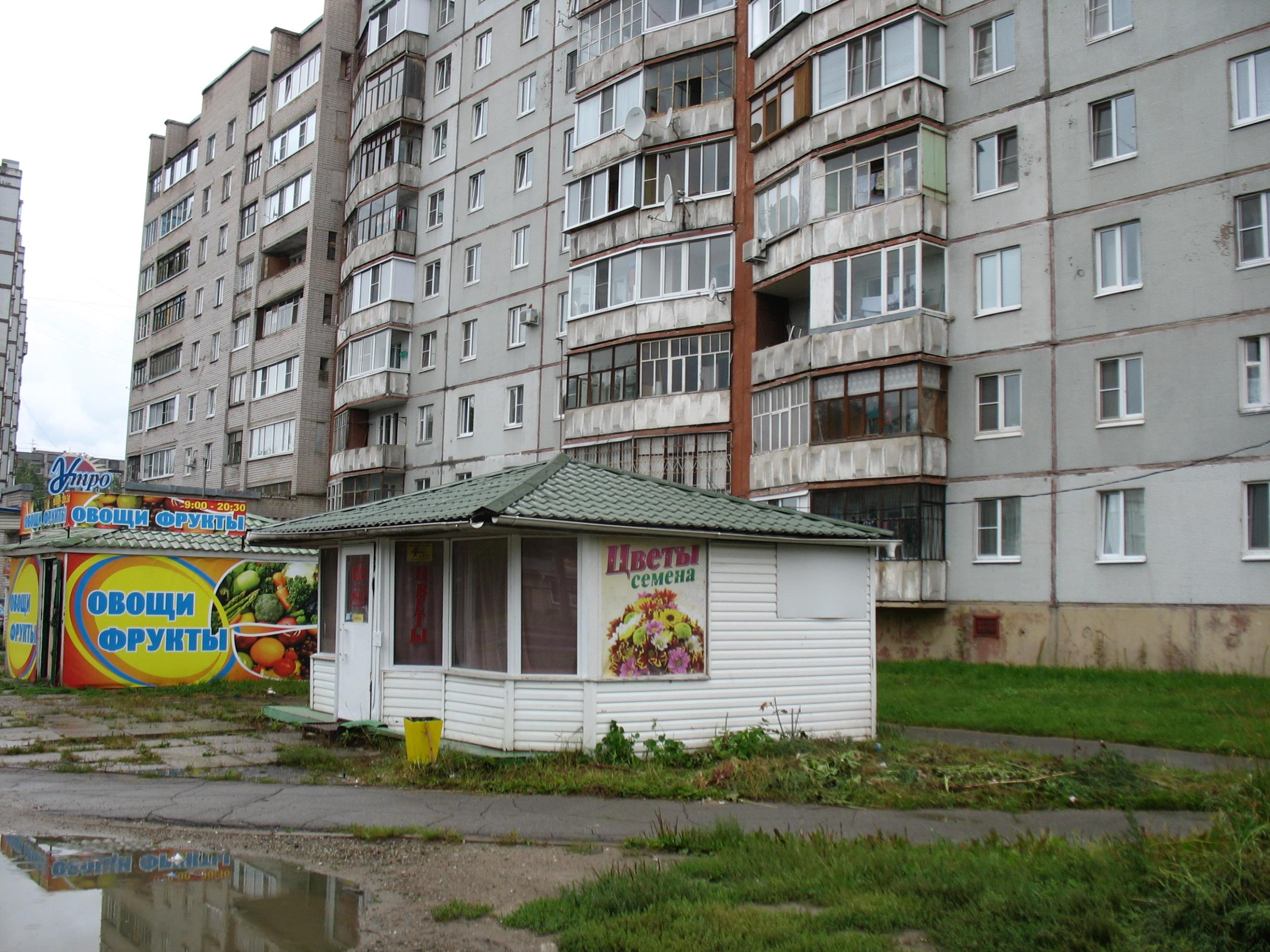Цветом череповец. Цветочный череповец. цветы заречье череповец. цветочные магазины череповец проспект победы. цветущий череповец.