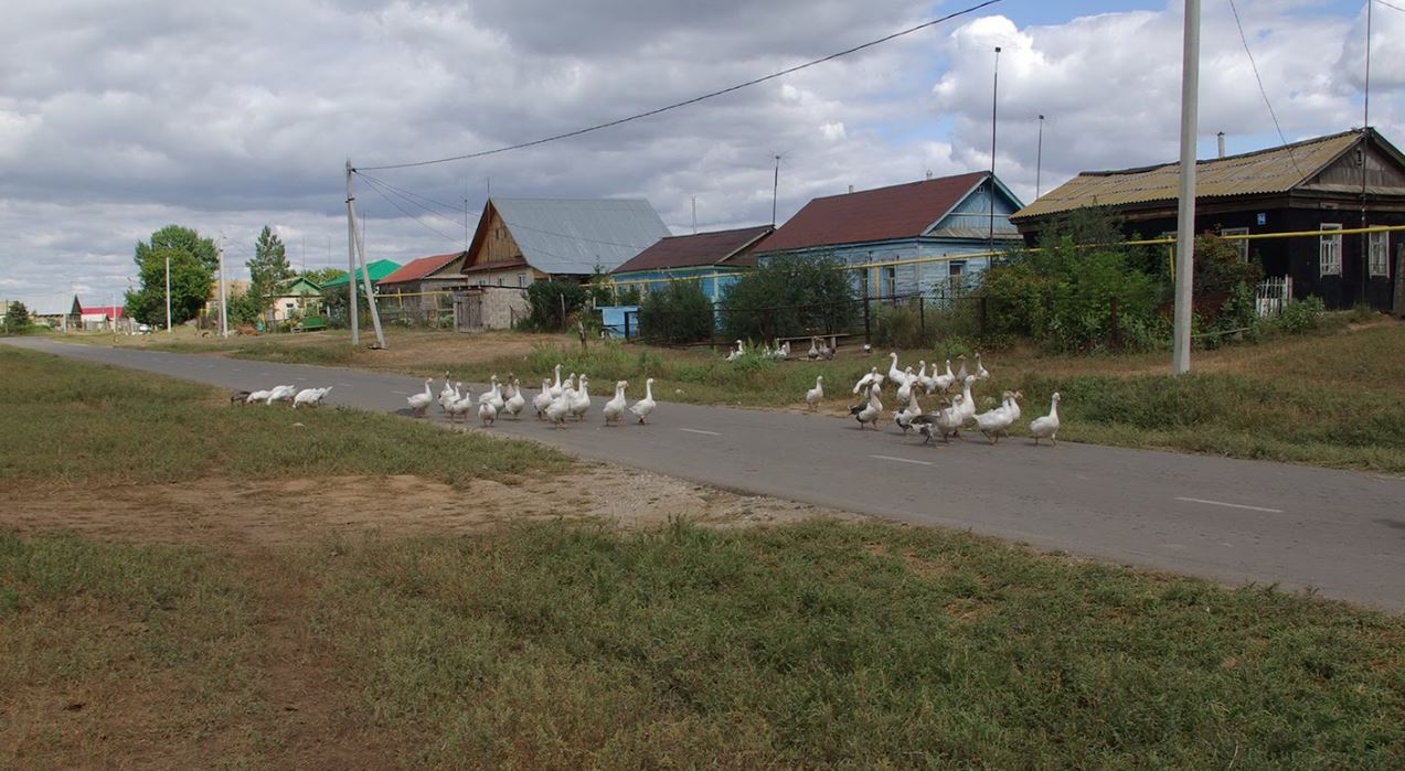 Оренбургские села. Село Барабановка Новосергиевский район. Село Барабановка Оренбургская область. Село Барабановка Новосергиевский район Оренбургская область. Оренбургская область Новосергиевский район с Мустаево.