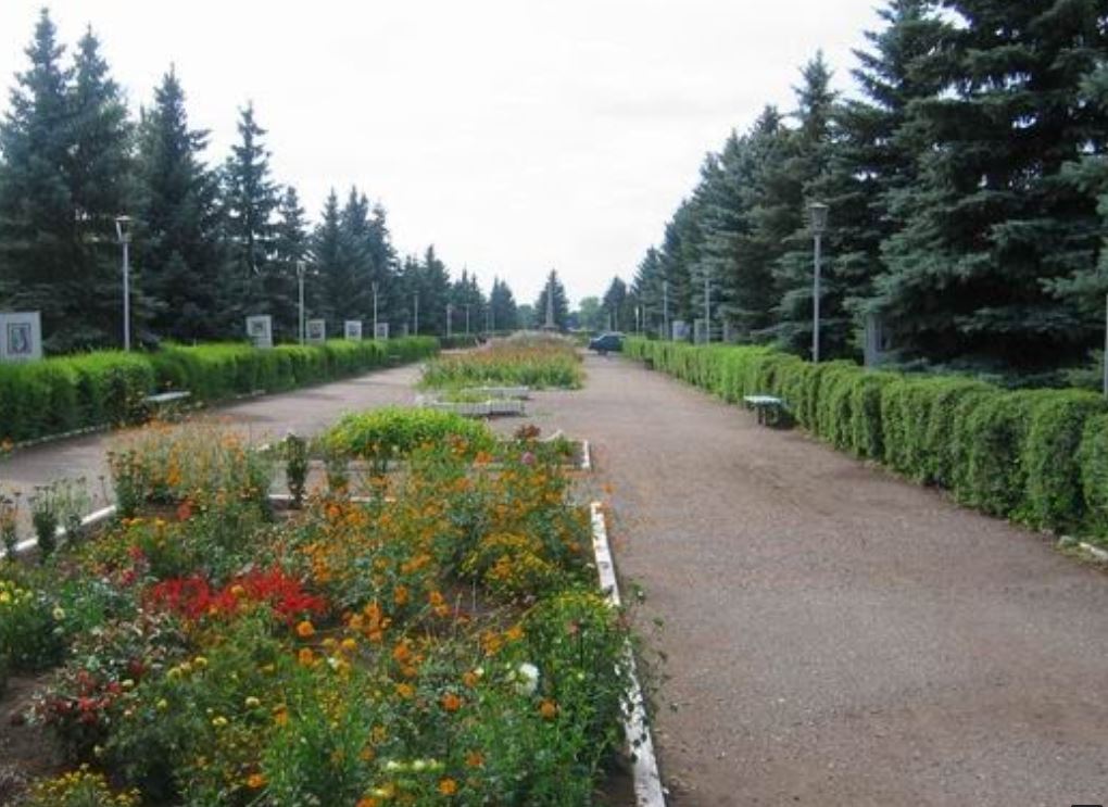 Оренбургская обл село грачевка