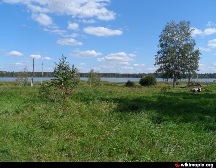 Погода аул кошкуль. Еткульский район озеро большой Кошкуль. Большой Кошкуль озеро Челябинская область. Кошкуль рыбалка. Озеро Кошкуль рыбалка.