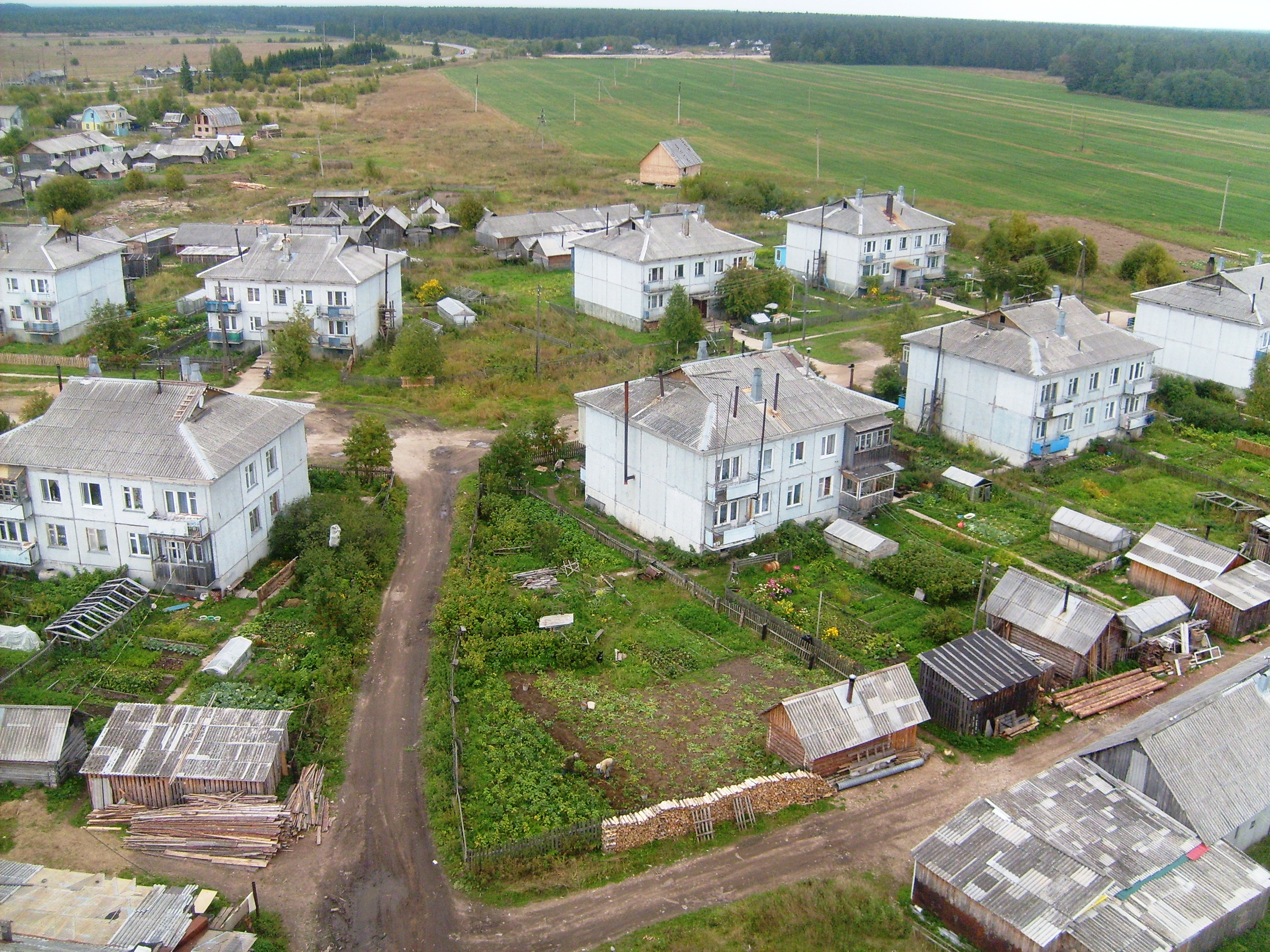 Конево архангельская область плесецкий район карта