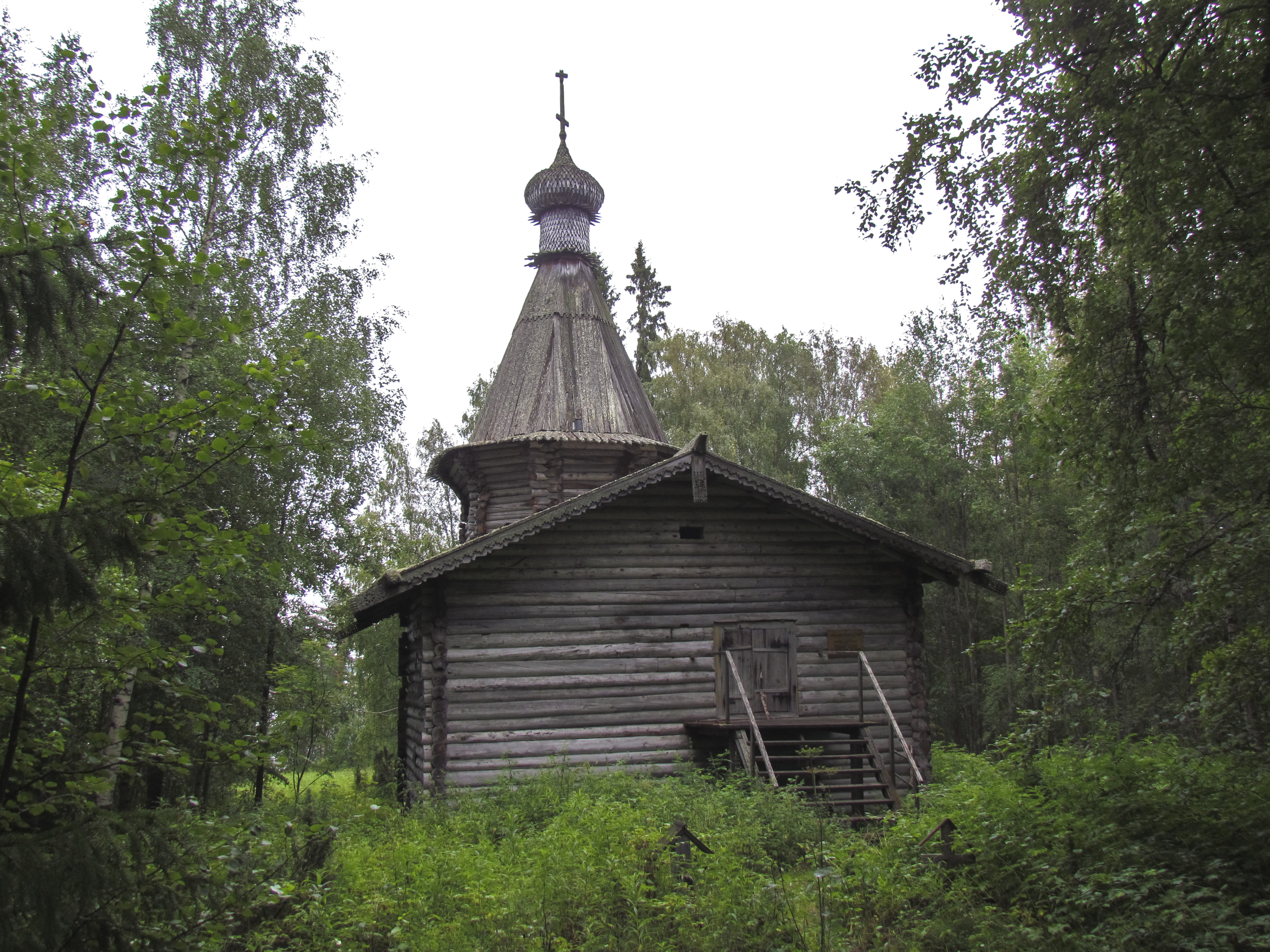 храмы в деревьях