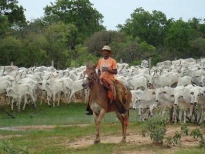 Ponto Chique - Minas Gerais - Brasil