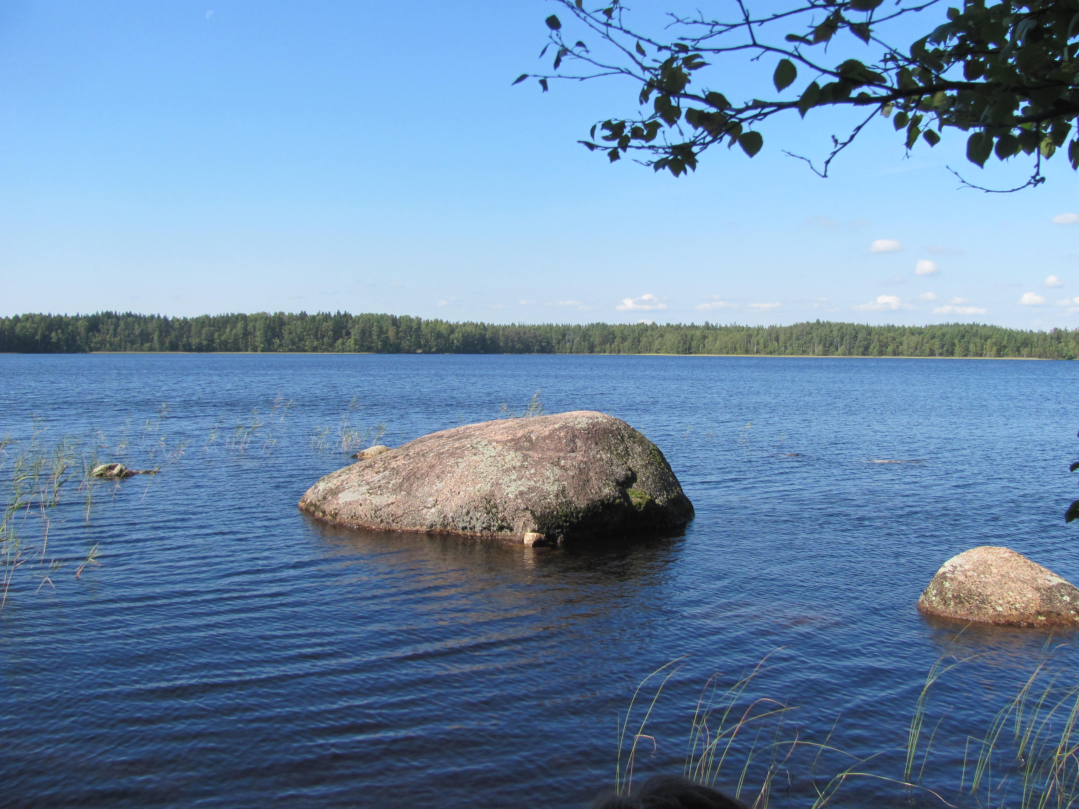 Заходское озеро Ленинградская область
