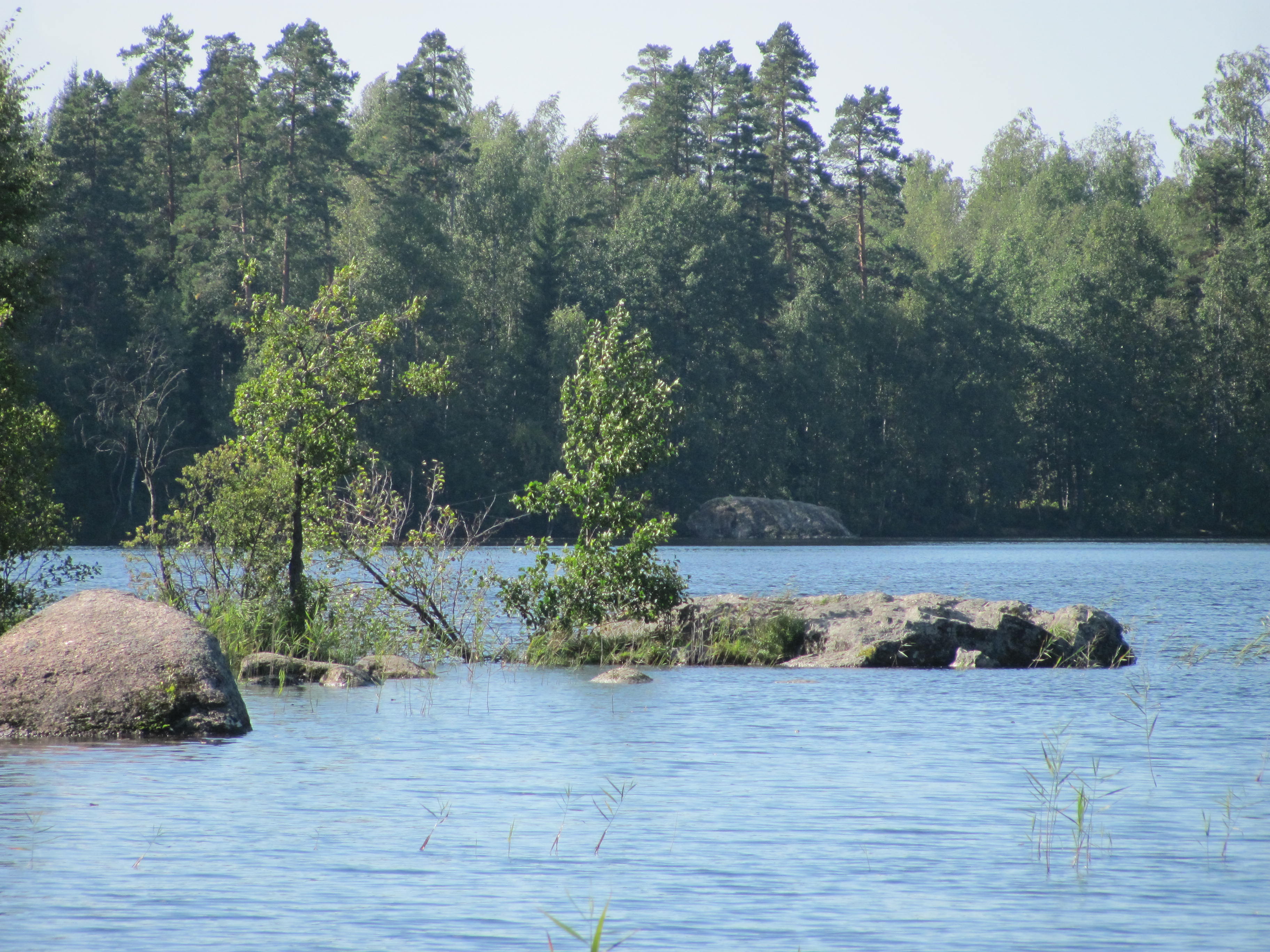 Мамонтовское озеро Ленинградская область