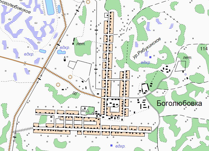 Карта улиц села. Омская область село Боголюбовка. Боголюбовка Любинский район. Карта Любинского района Омской области.
