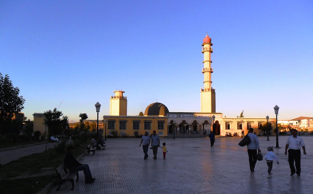 مسجد الفتح البرواقية