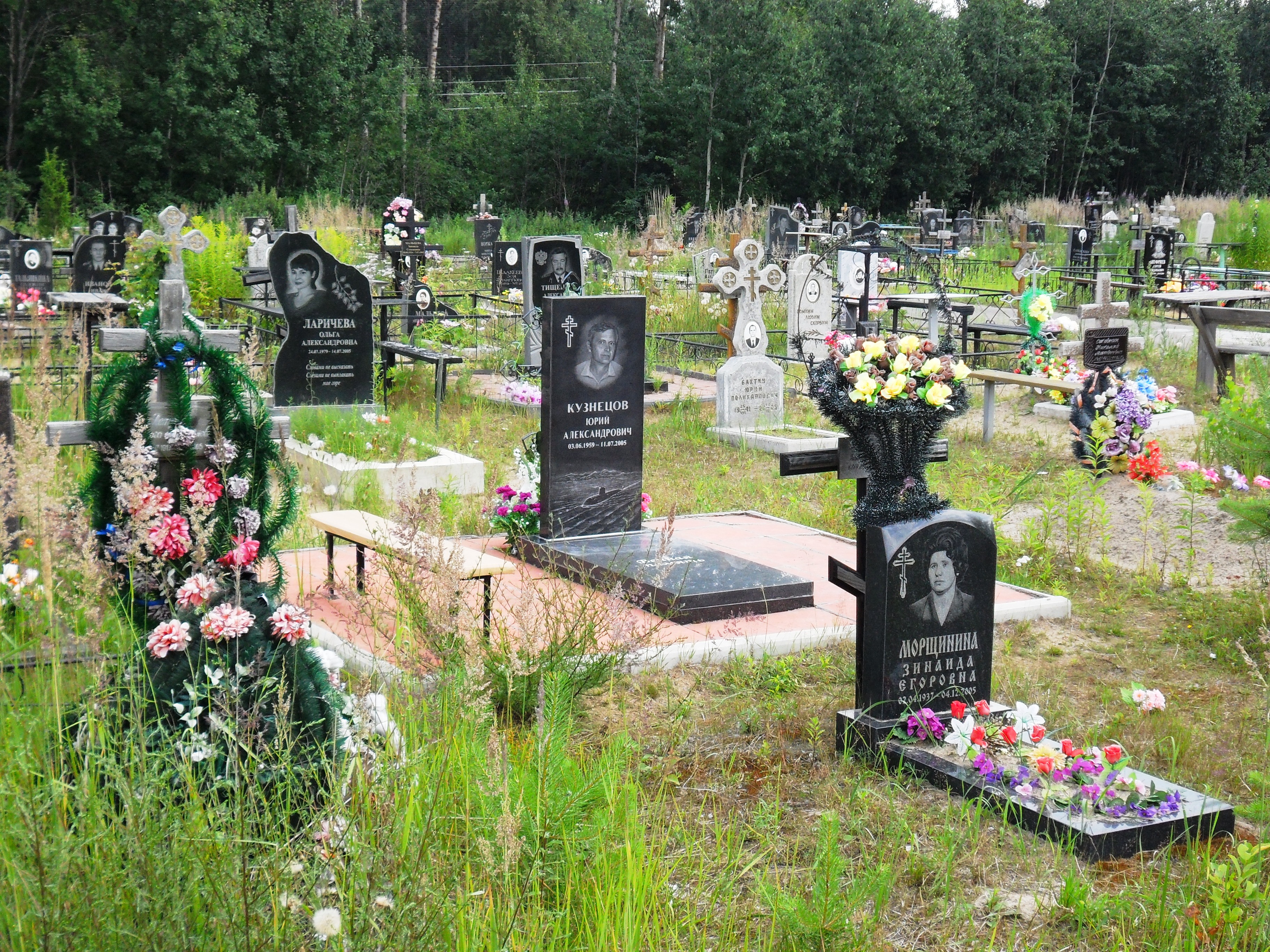 псков некрополь. кладбище орлецы. псков кладбища. некрополь город. кладбище псков.