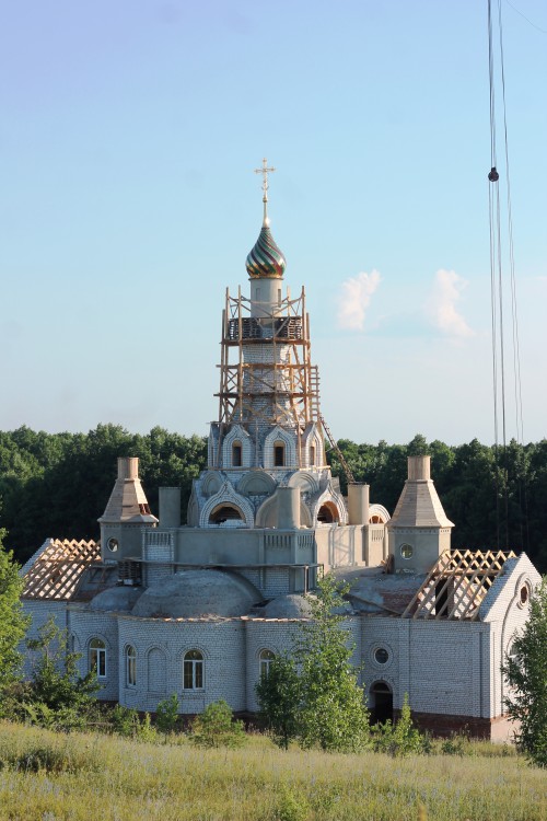 В бабякове. Бабяково храм. Воронеж храм в Бабяково. Церковь Троицы Живоначальной, село Бабяково. Село Бабяково Воронежская область.