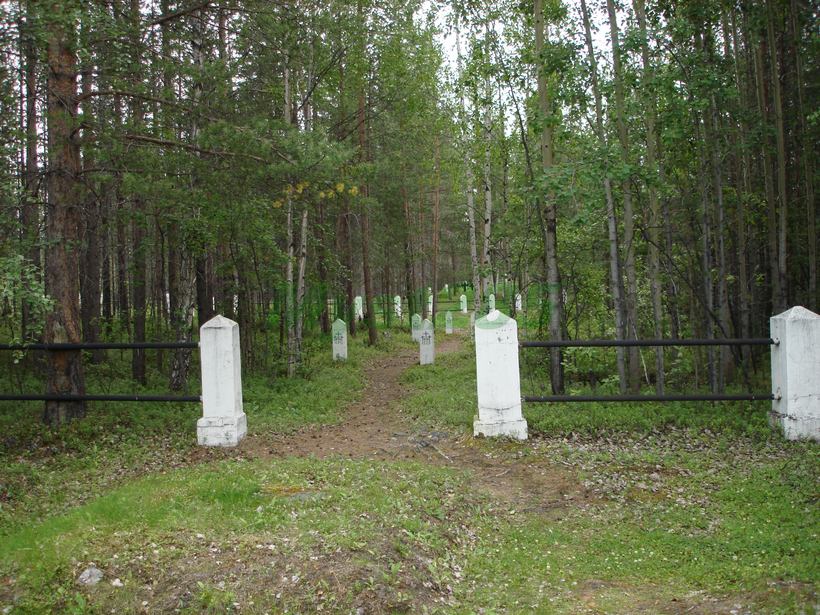 Кладбища поселок. Кладбище Кандалакша. Кандалакша городское кладбище. Некрополь Кандалакша. Гор. Кладбище Кандалакша.