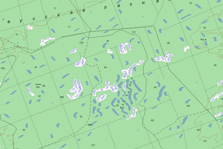 Болото на карте. Карта клюквенного болота. Уломское болото. Верхнекетский район болото.