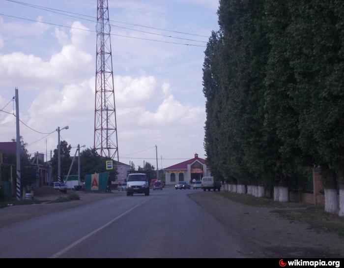 Погода на неделю б мартыновка ростовская. Большая Мартыновка. Мартыновка Ростовская область. Исторические здания в сл большая Мартыновка Ростовской области. Центр Шленского Мартыновка.