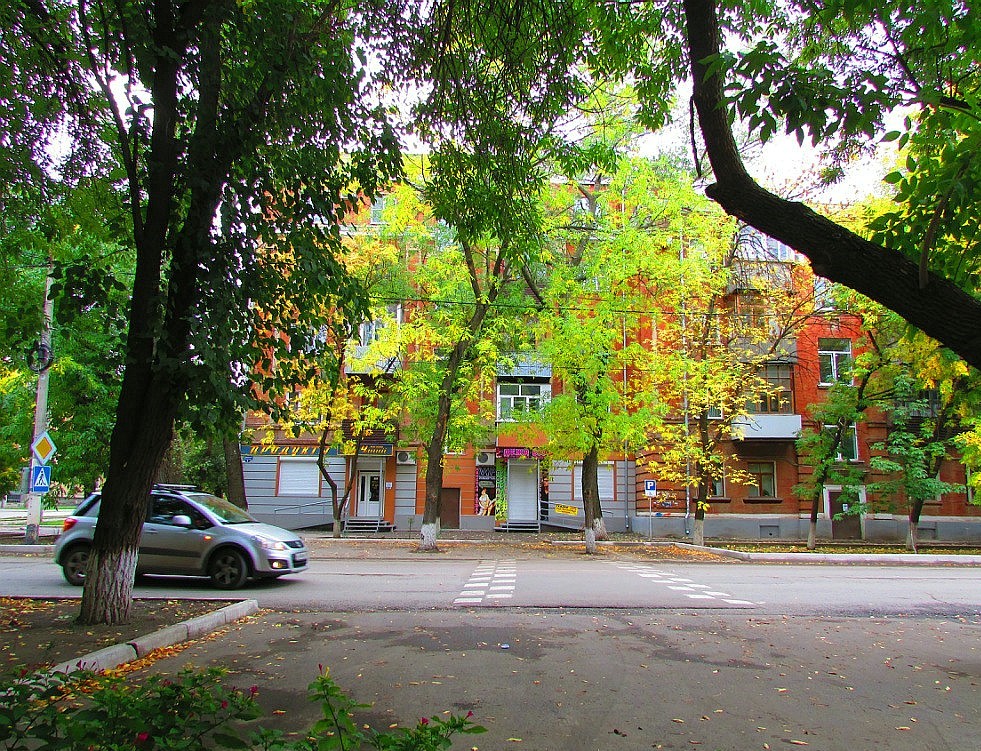 зоомагазин каменск-шахтинский ворошилова 6. сдэк на проспекте победы 175. ворошилова, 6. сдэк уральская 57/2. ворошилова 5 каменск-шахтинский.