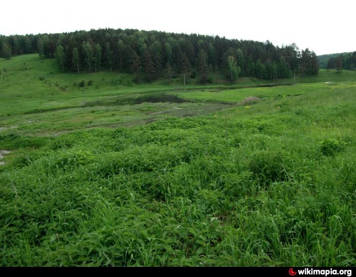 Погода анастасьино саратовской