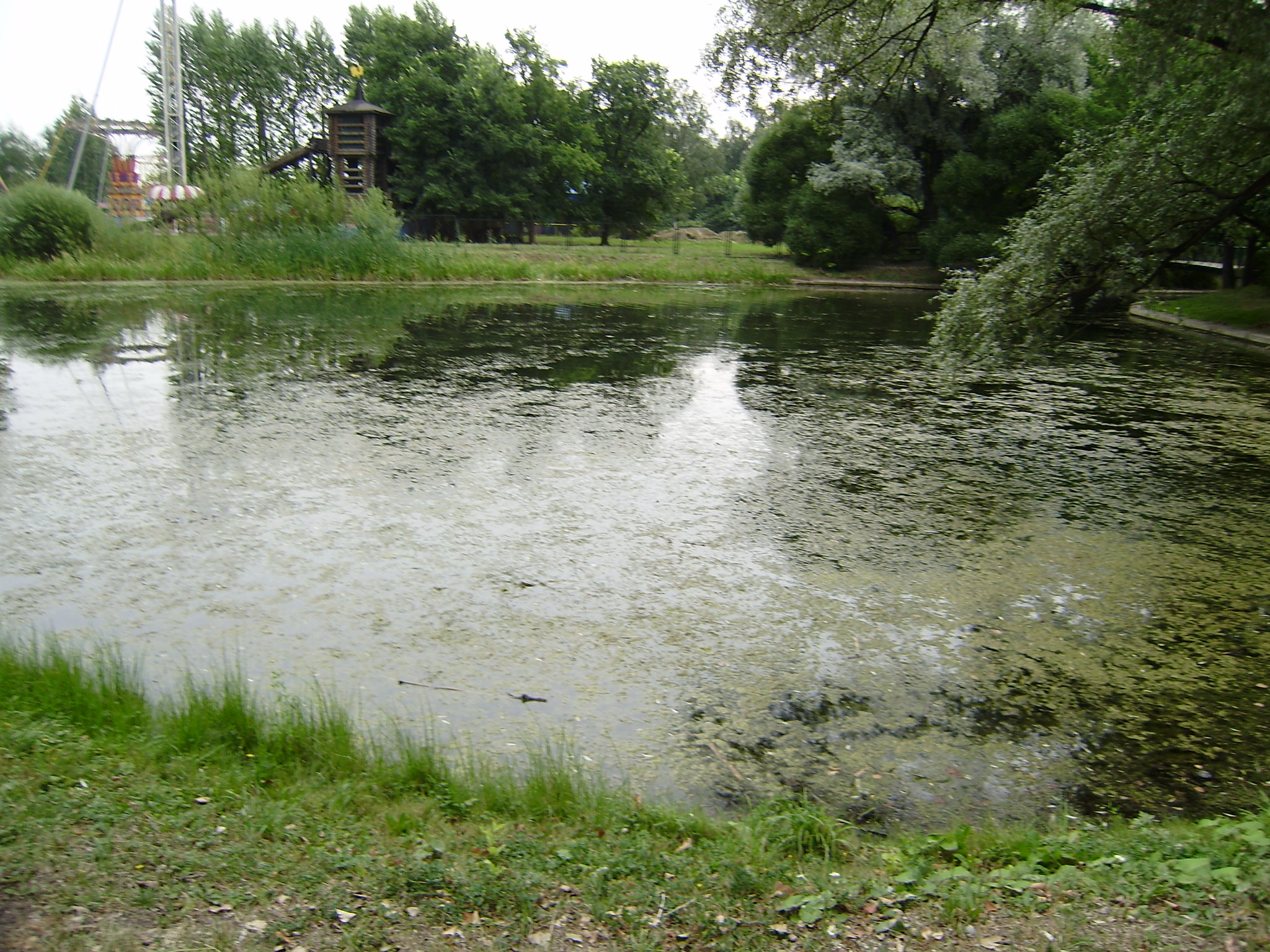 Detsky pond - Saint Petersburg