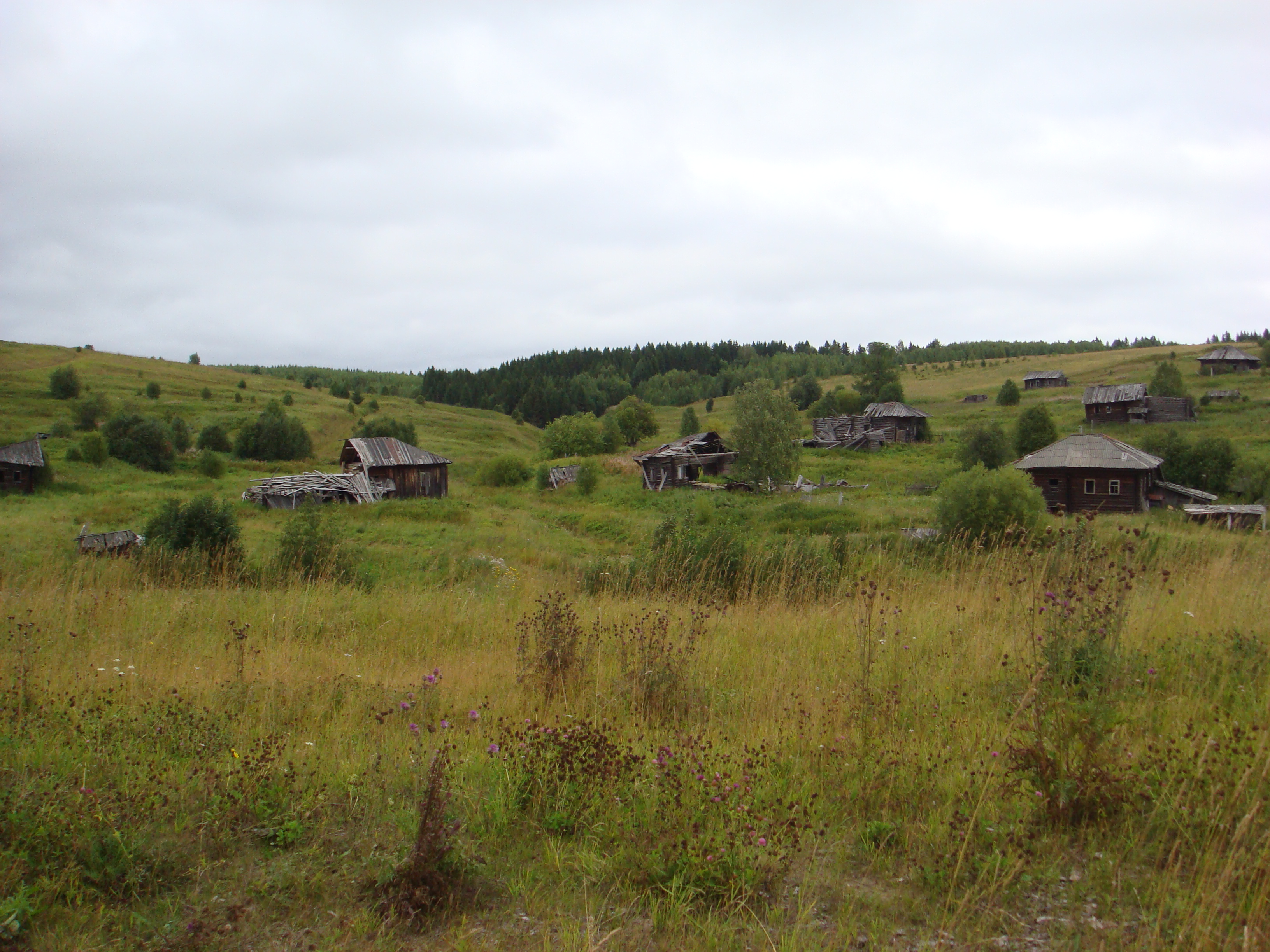 Пермская Обл Д Большая Мочга Фото