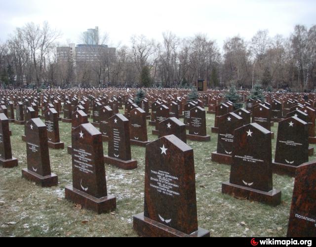 Могилы павших воинов. Военное кладбище солдат ВОВ. Массовые захоронения советских солдат. Могилы красной армии. Братская могила времен ВОВ.