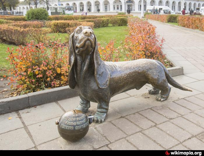 Собака кострома. Памятник псу Бобке Кострома. Памятник собаке Бобке в костром. Памятник собаке в Костроме. Памятник собаке Бобке в Костроме.