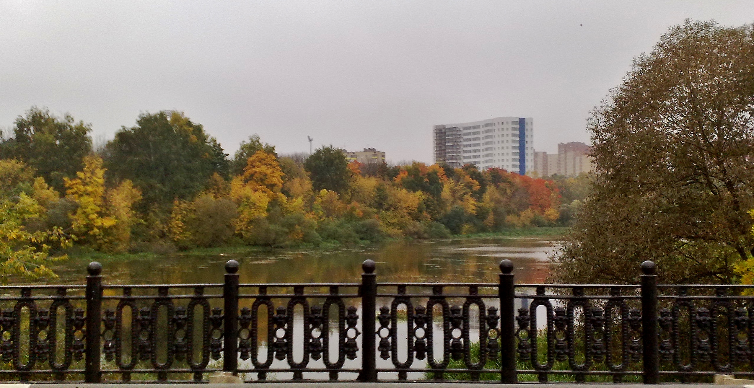 Погода в химках. Исток реки Химки. Химки Москва река. Речка в Химках. Река Химка в Москве.