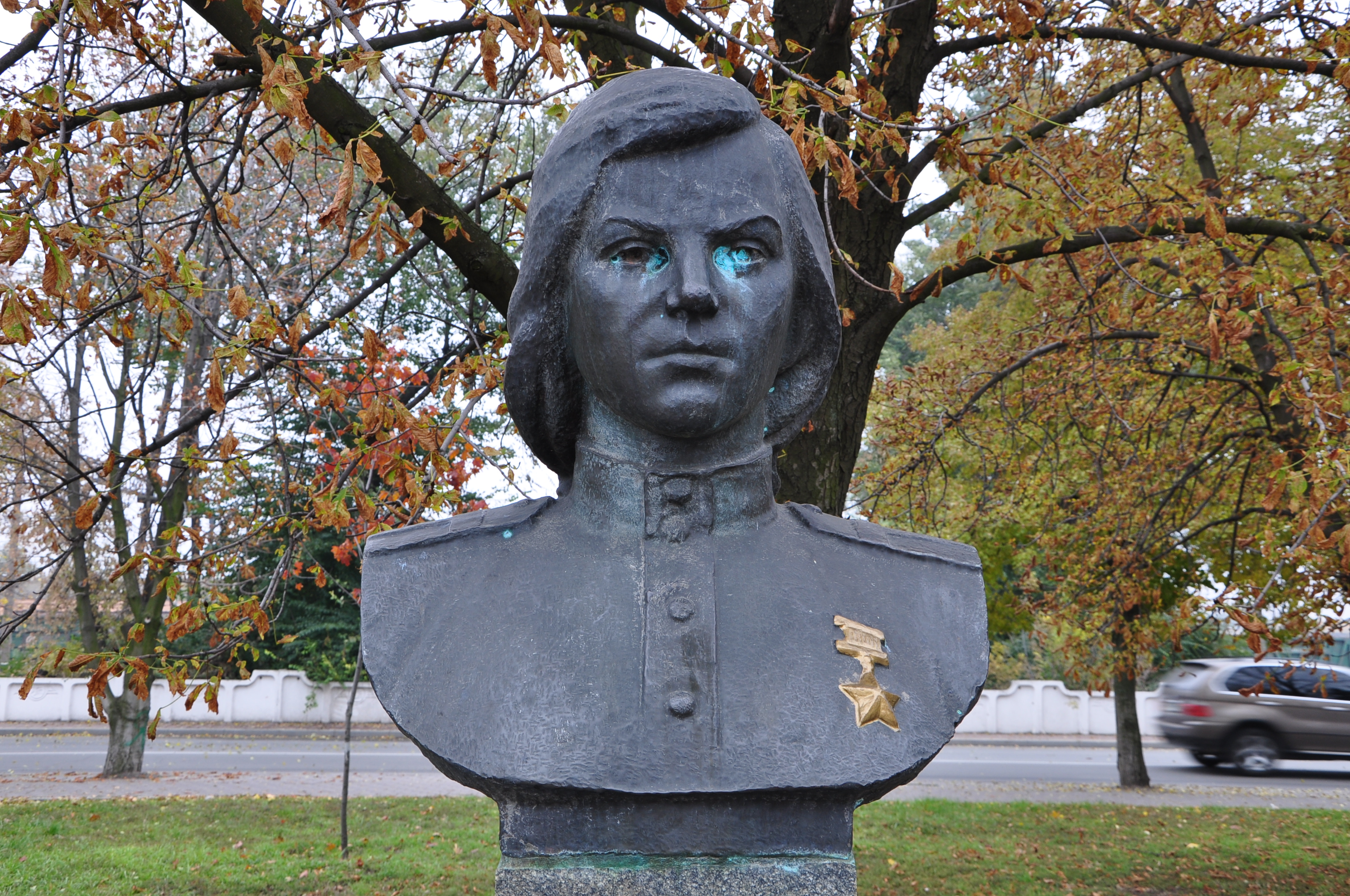 Бюст москва. Гнаровская Валерия Осиповна памятник. Памятник Гнаровской. Бюсты Валерии Осиповой Гнаровской. Бюсты в городе.