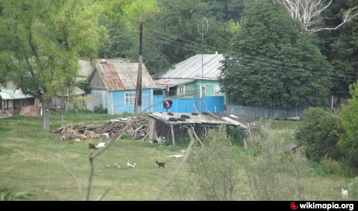 Анастасьевка хабаровский край. Село Анастасьевка Льговского района. День села Анастасьевки. Село Анастасьевка Льговского района пруд. Льговское сельское поселение.