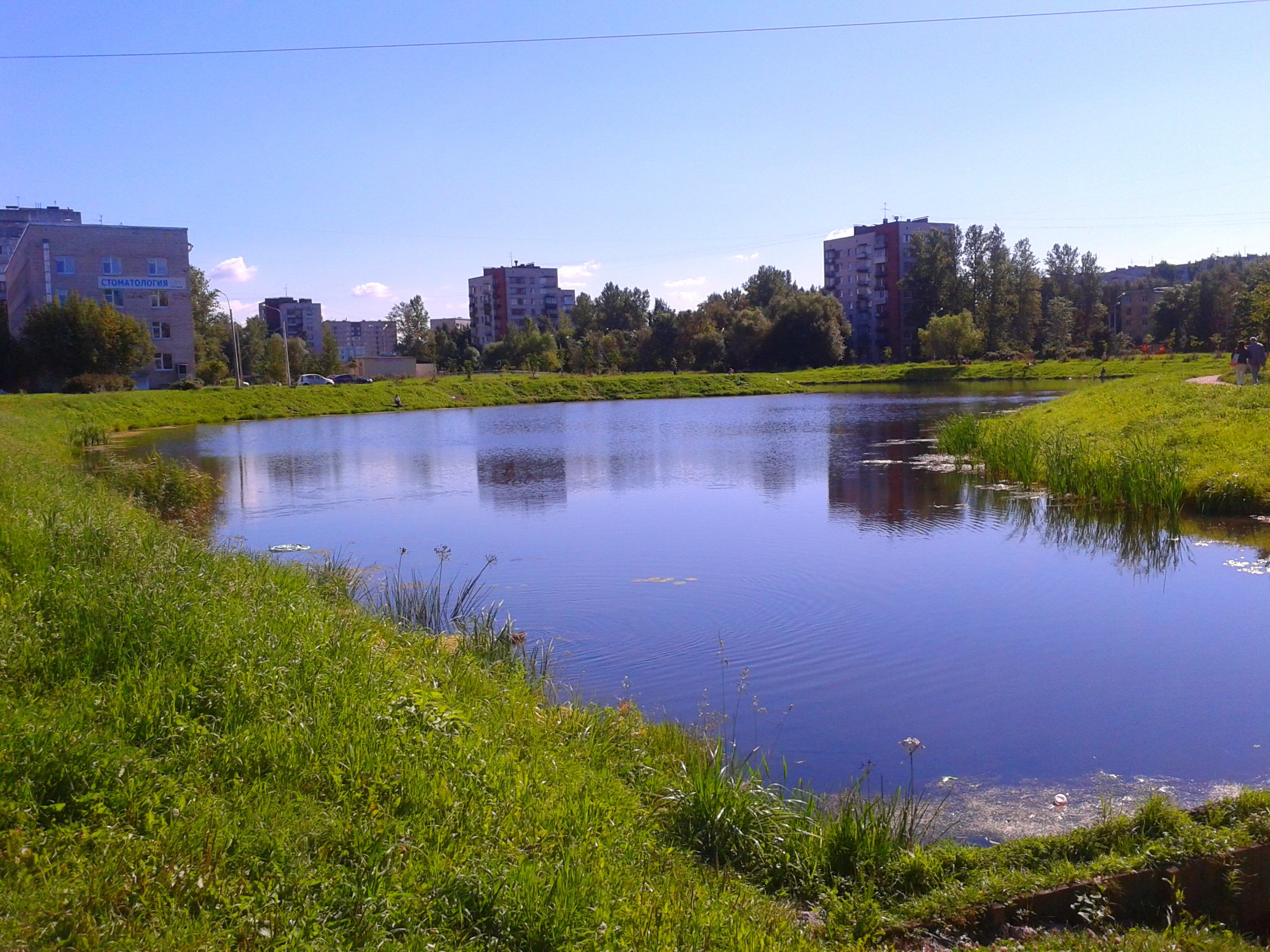 река дачная санкт петербург