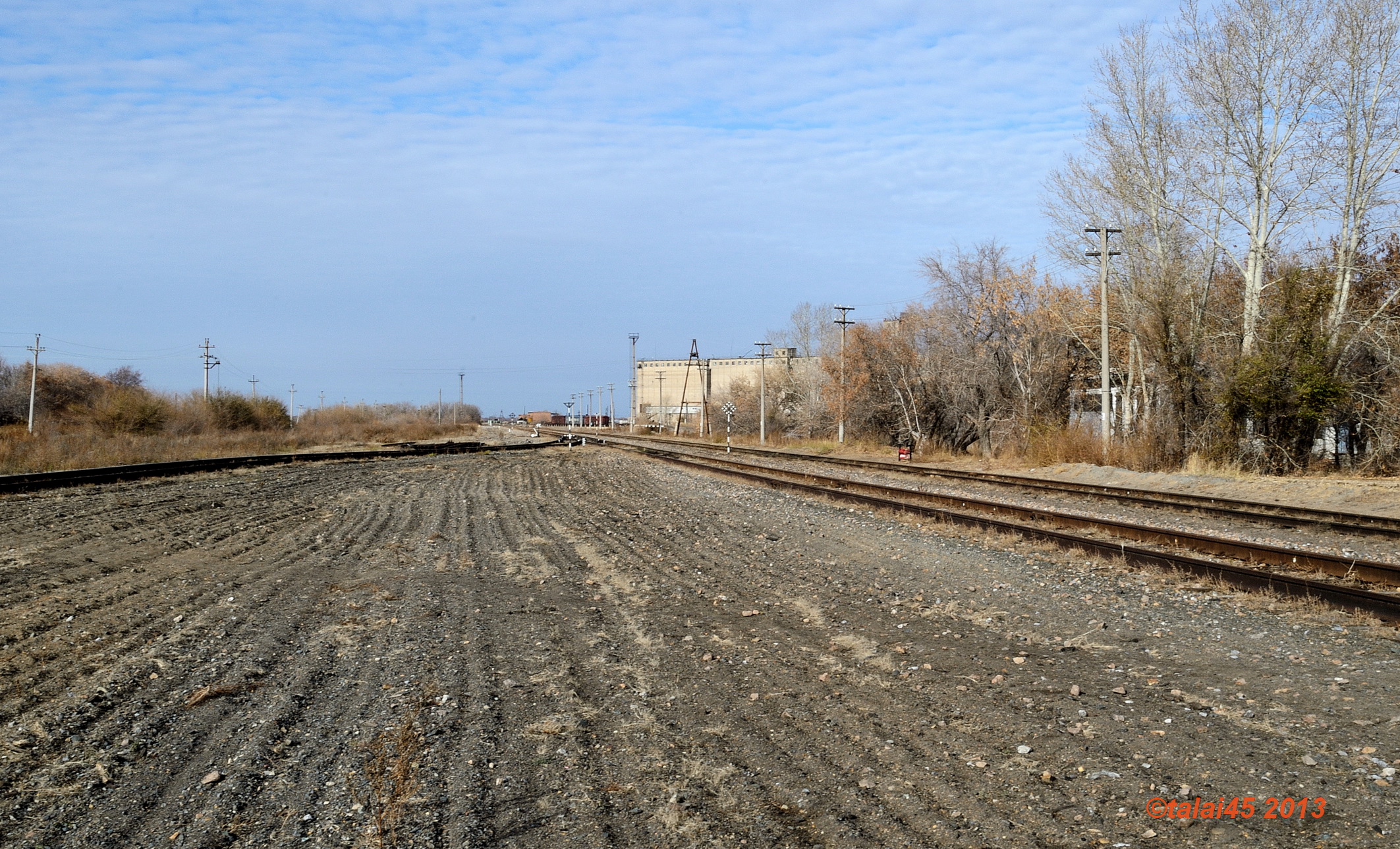 Село михайловка алтайский край