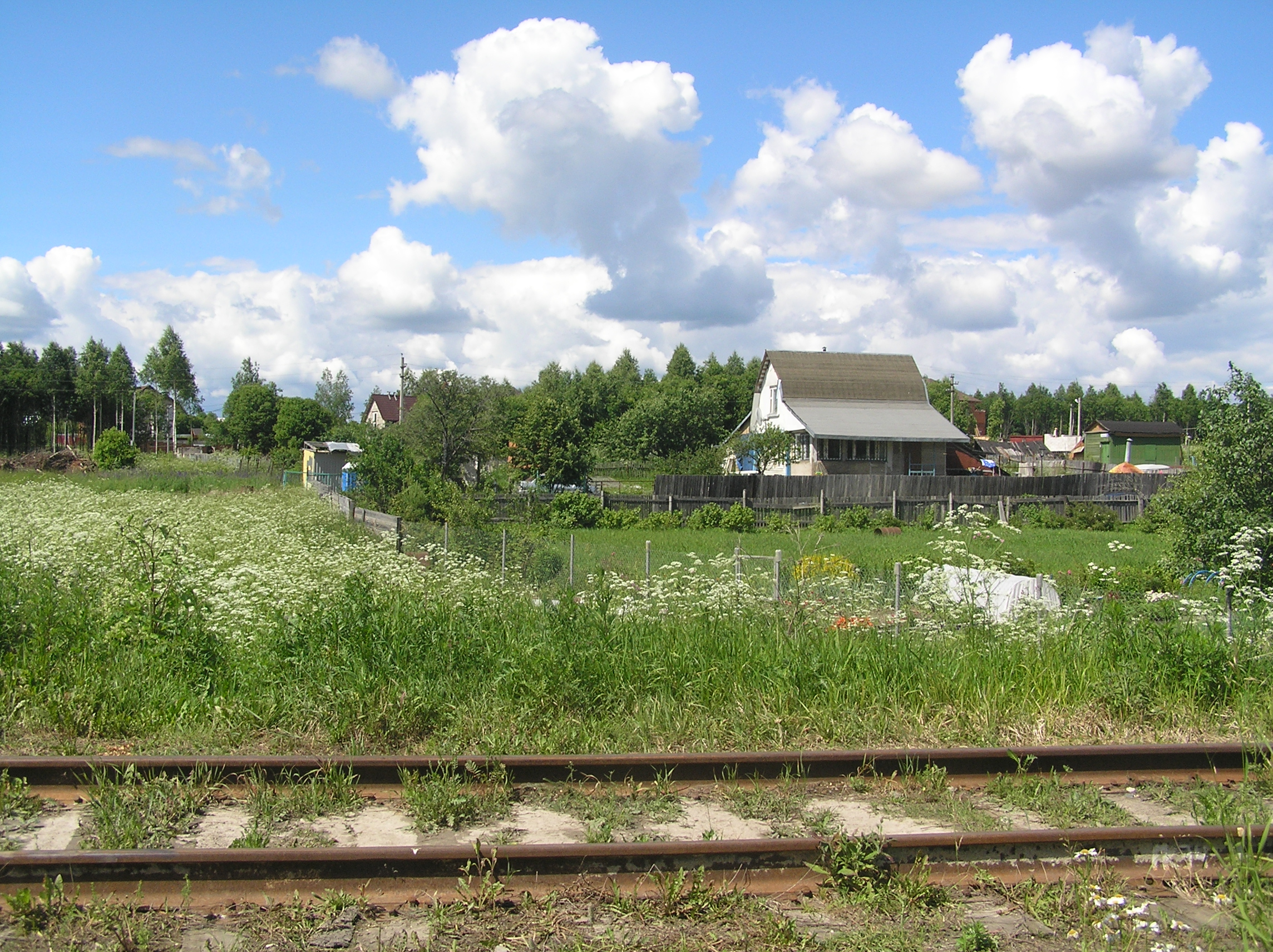 Поселок мирный. Поселок Мирный Краснозаводск. Поселок Мирный Московская область. Пикуниха Краснозаводск. Посёлок Мирный Удмуртия.