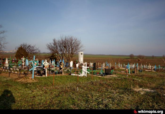 Погода поселок анапский кореновский