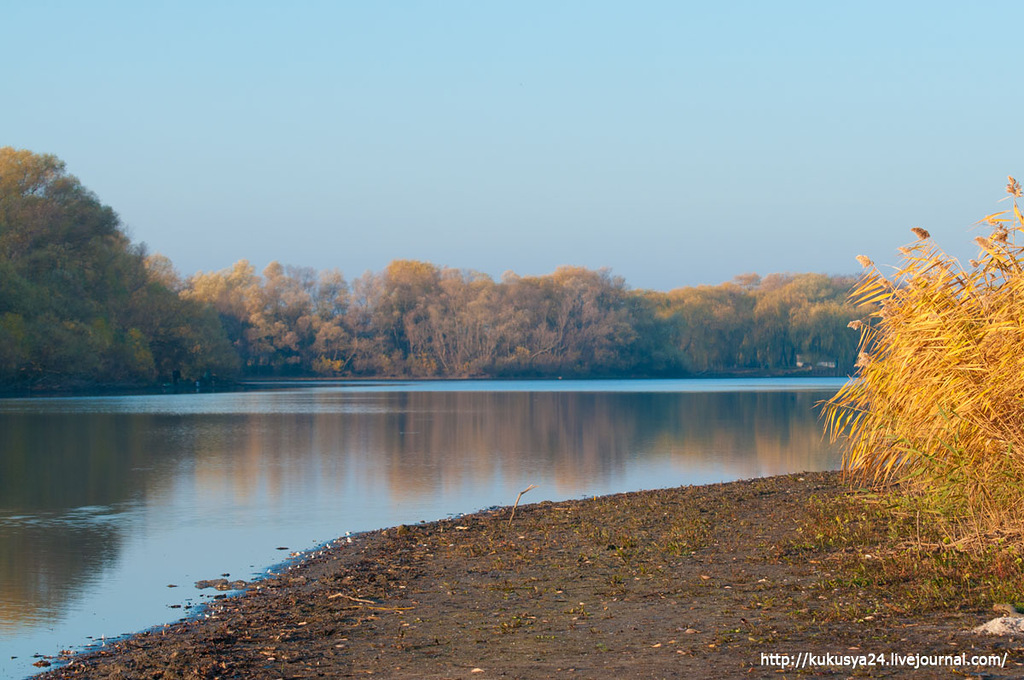 Поплавок база отдыха волгодонск