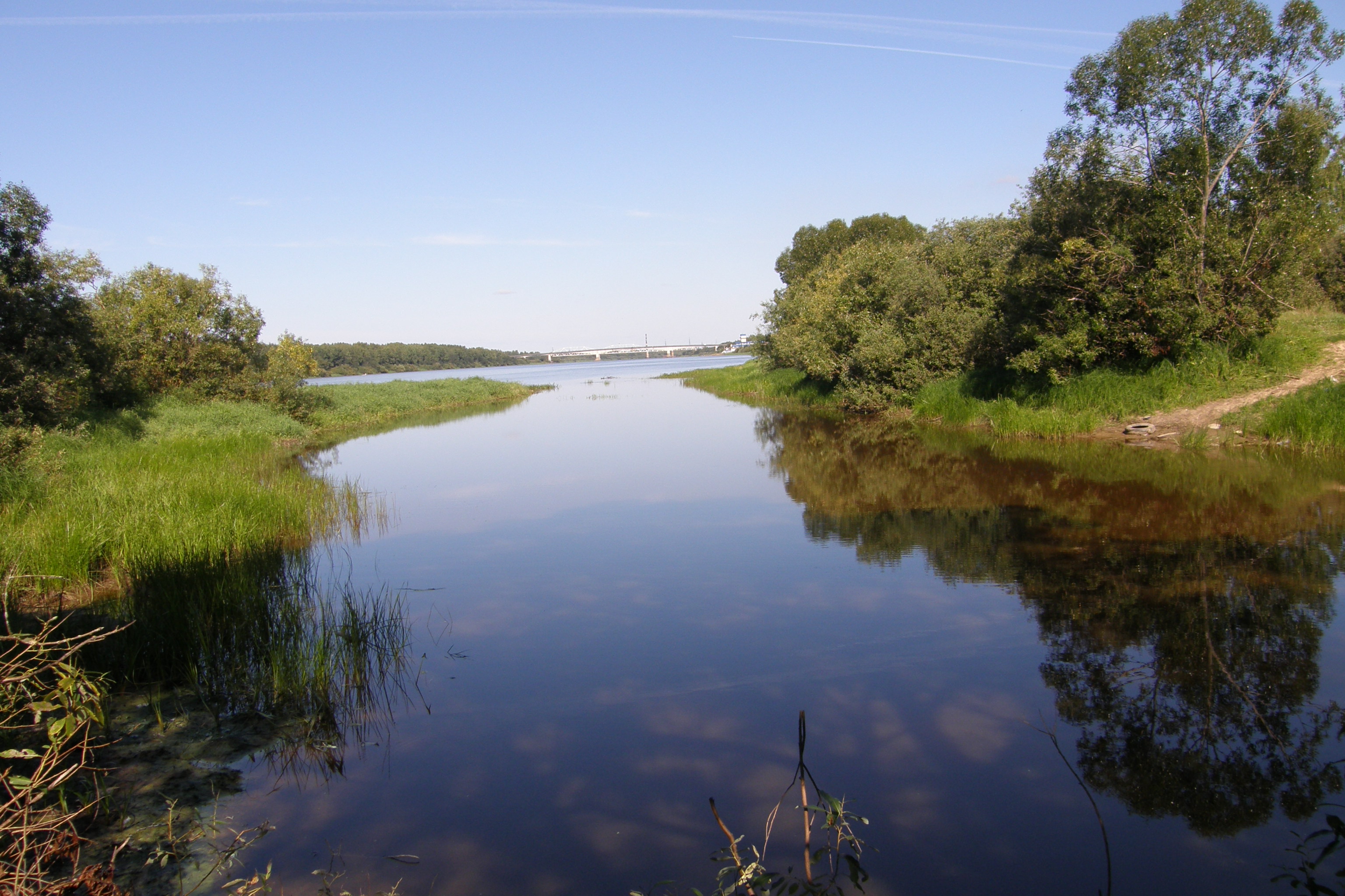 Озеро тигода новгородская область фото