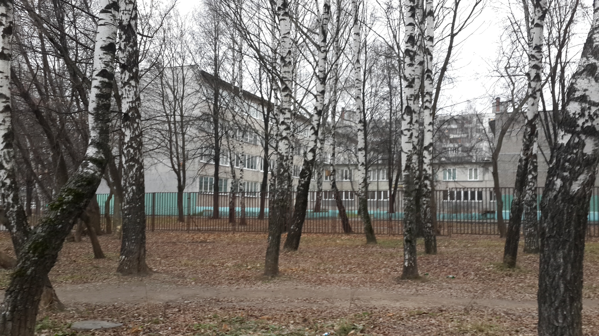 новая школа в мытищах. сош 4 мытищи. школа 24 корпус 2 мытищи. школа 24 мытищи фото. школа 24 корпус 2 мытищи.