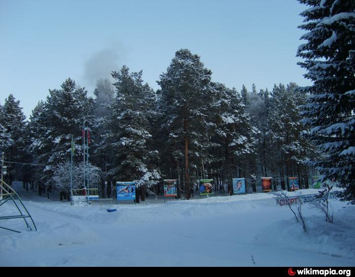 Лагерь сокол назарово