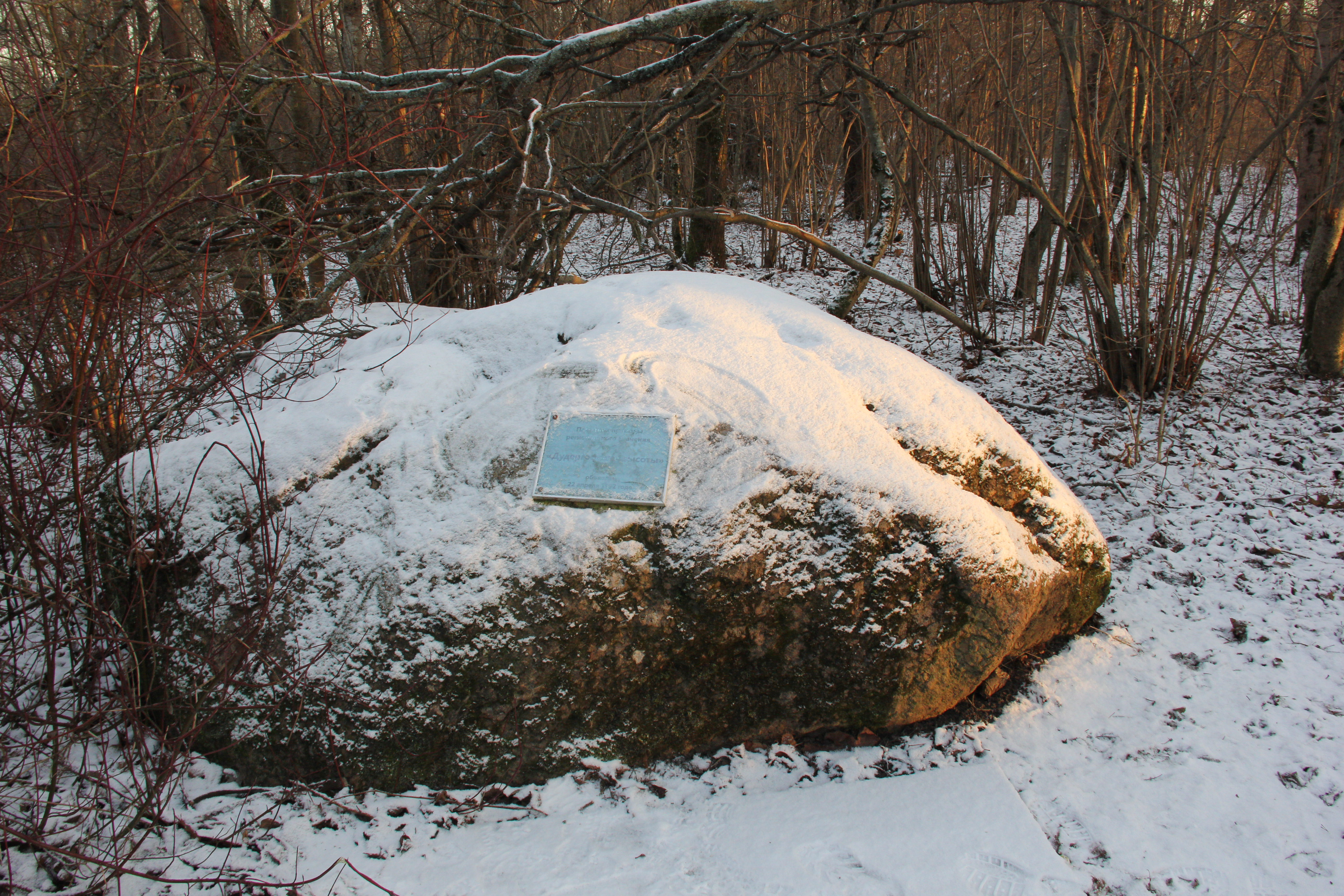 псковская земля мелколесье валуны голубые
