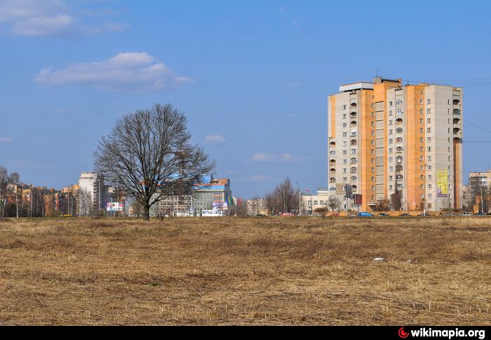 Обнинское. Обнинский дуб. Дуб Обнинск столетний. Дуб Обнинск у Циолковского. Дуб дом ученых Обнинск.