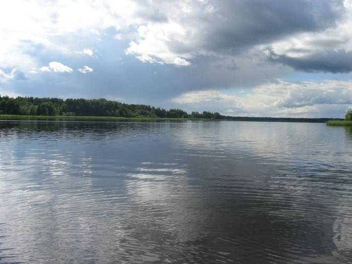 Балахановское озеро - идеальное место для рыбалки в Ленинградской области