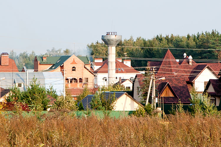 Деревня борзые истринский