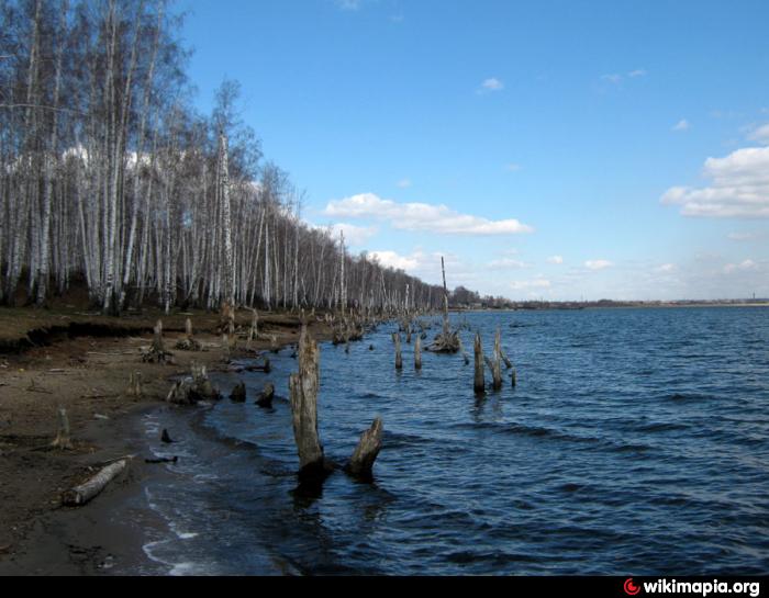 Село половинка челябинская область. Озеро Половинное Копейск. Озеро Половинное Челябинская. Озеро Половинное Екатеринбург. Половинка Челябинская область озеро.