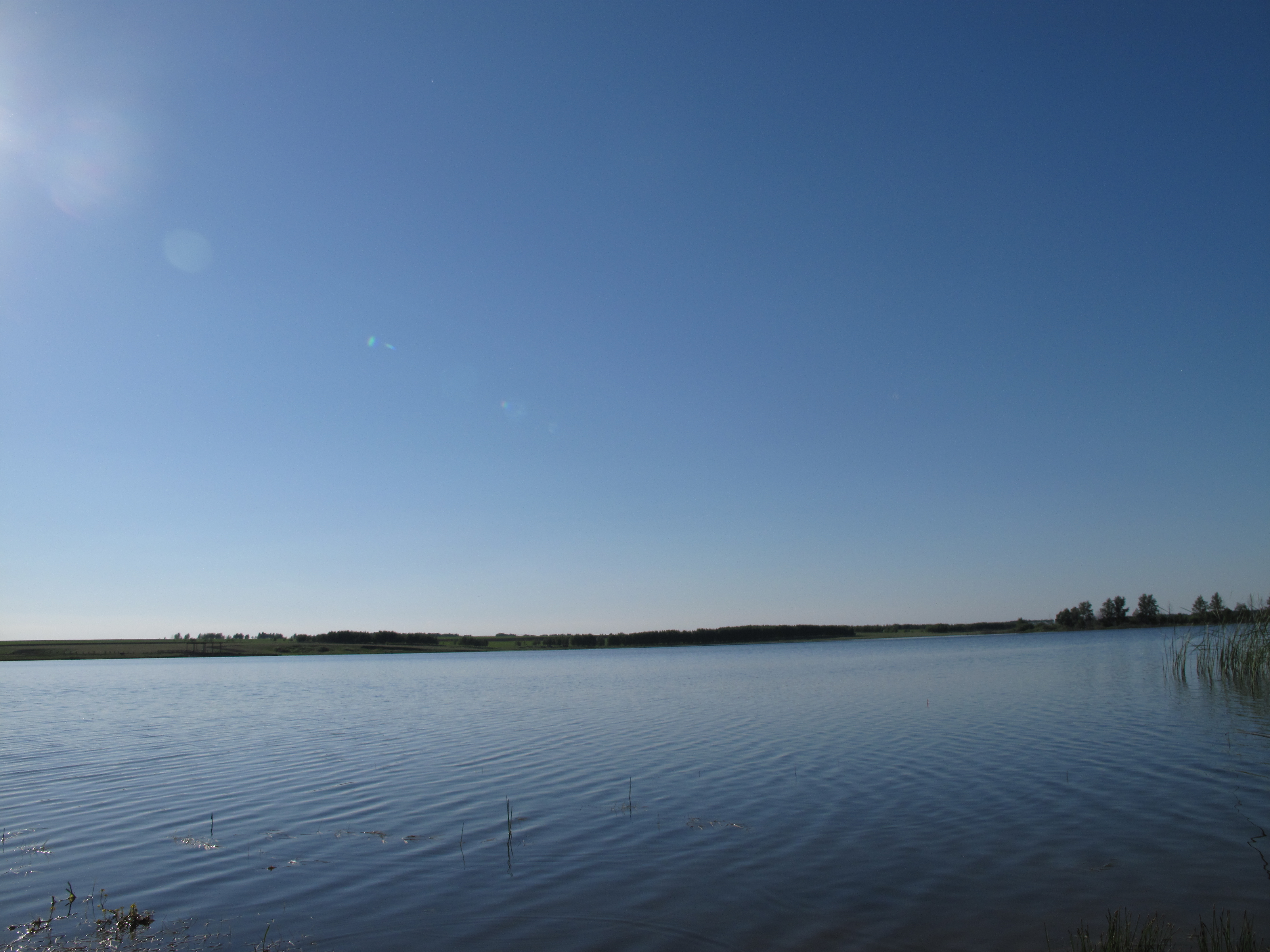 Печенежское водохранилище. Печенежское водохранилище Харьков. Невьянское водохранилище рыба. Печенежское водохранилище Спутник. Печенежского водохранилища на Украине Харьков.