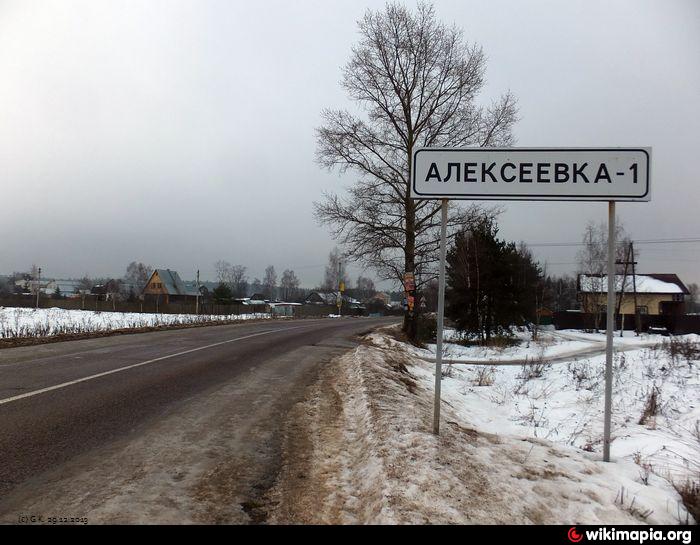 Деревня алексеевка. Первая Алексеевка Щелковский район.