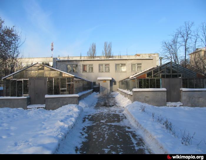 городской детский экологический. детский экологический центр екатеринбург. детский экологический центр челябинск. космонавтов, 57в. городской детский экологический.