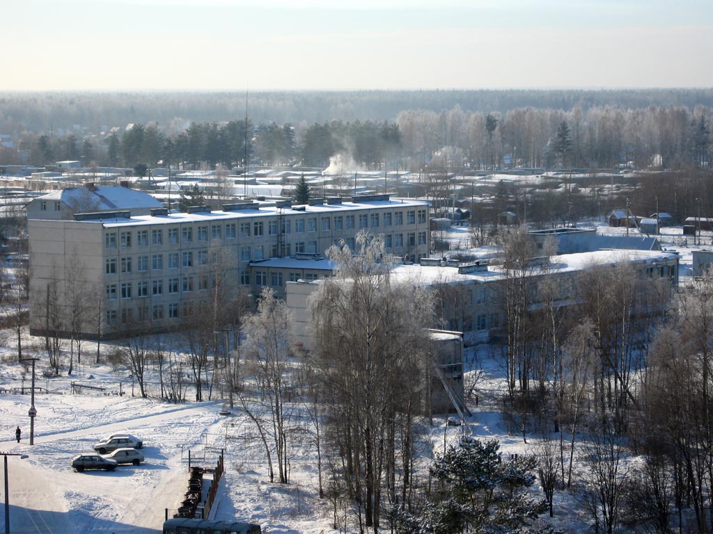 Погода приладожский ленобласть. Приладожское городское поселение. Поселок Приладожский. Приладожский Ленинградская область. Приладожская средняя общеобразовательная школа.